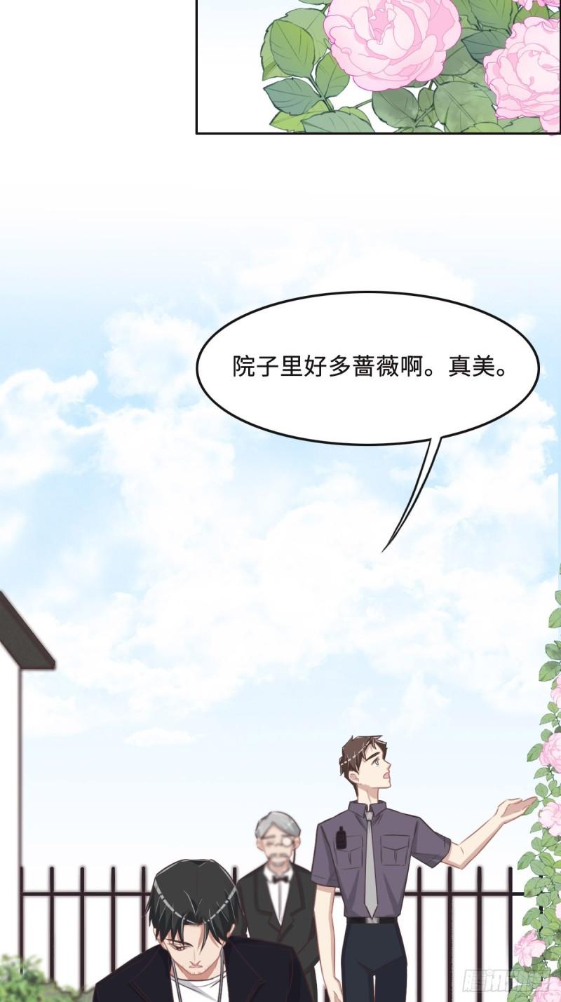 花与同谋小说免费阅读漫画,052 救援13图