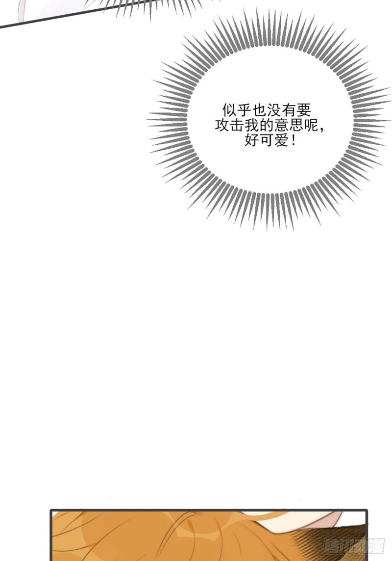 只有尾巴不可以！漫画,命运般地相遇了153图