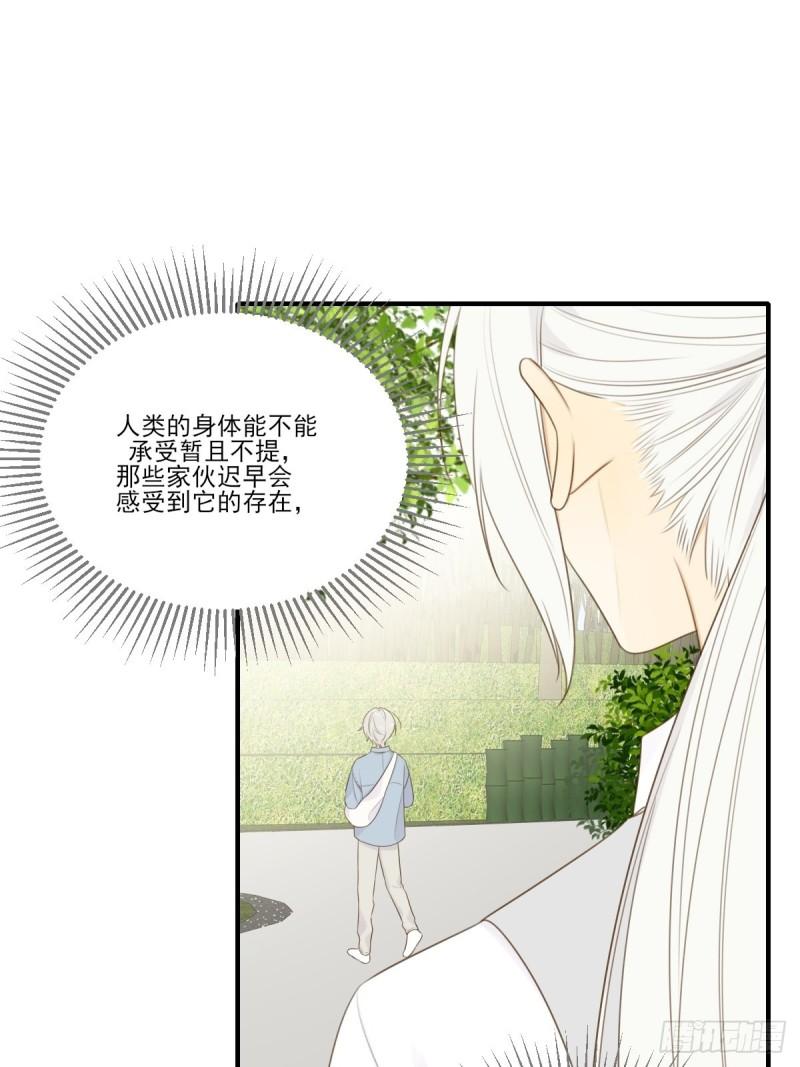 只有尾巴不可以！漫画,白夜坎坷的过去46图