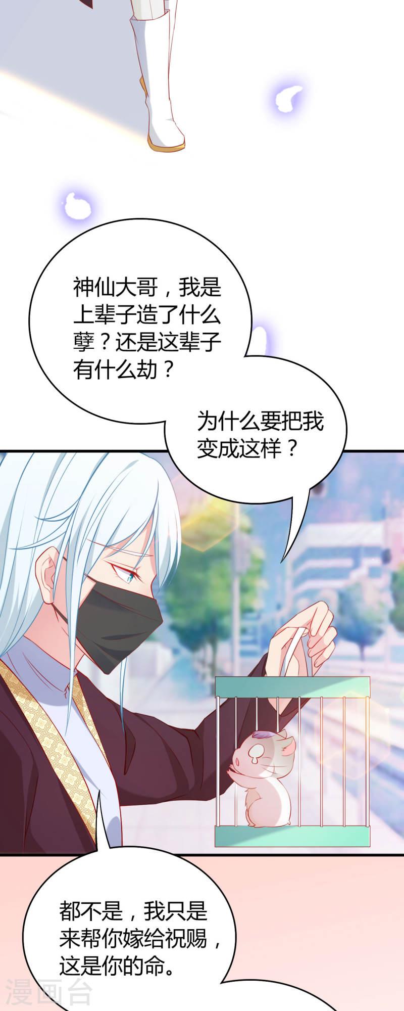 走开，别吸我！漫画,第2话 吱，我变成了仓鼠？！3图