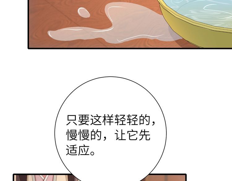 炮灰闺女的生存方式漫画免费阅读漫画,第127话 七七，你自己选62图