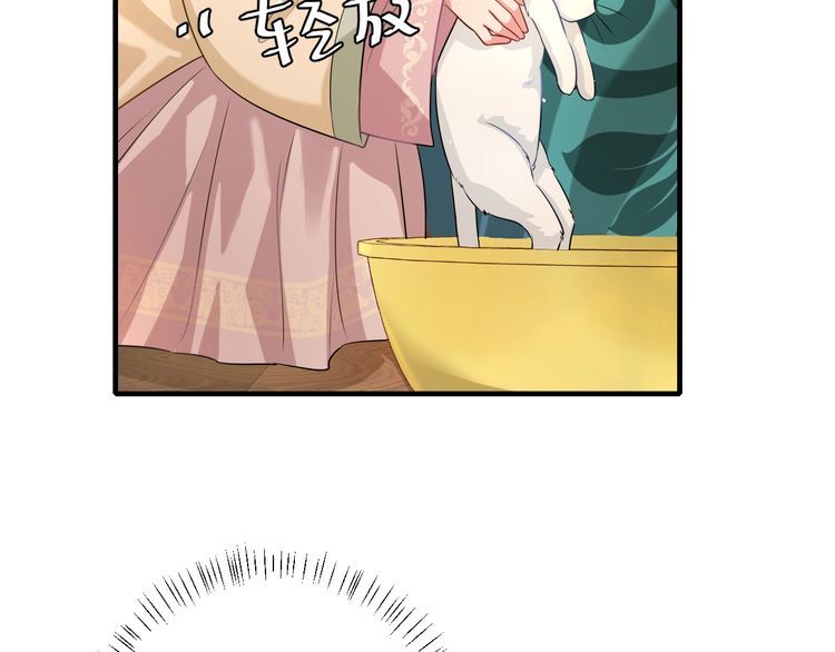 炮灰闺女的生存方式漫画免费阅读漫画,第127话 七七，你自己选70图