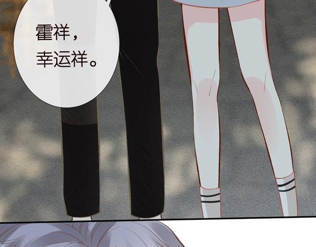 这条咸鱼她是满级大佬漫画,第118 乌龟配王八34图