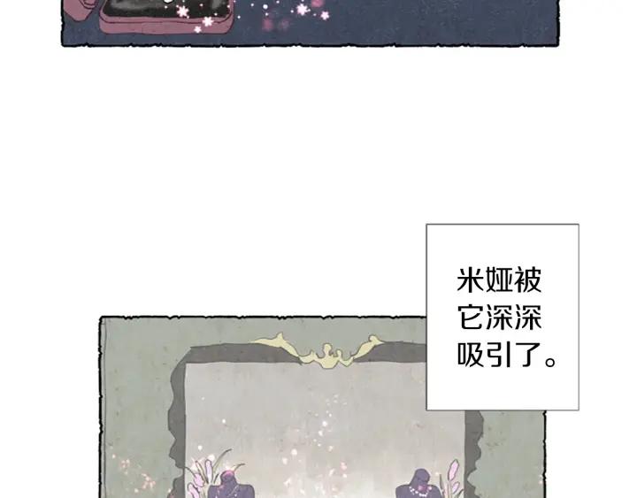 米娅的精灵王国中文免费在线看漫画,第1话 初见胸针22图