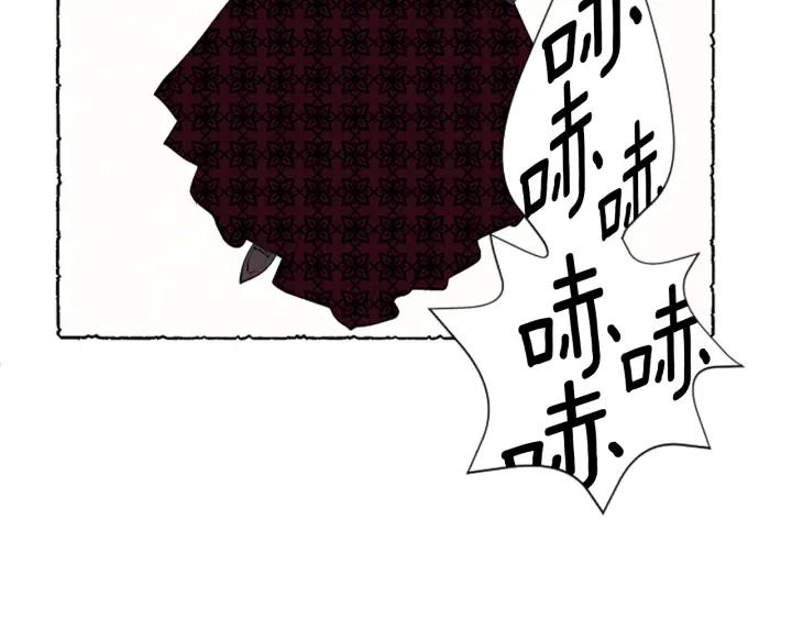 米娅的精灵王国中文免费在线看漫画,第5话 胸针被买走17图