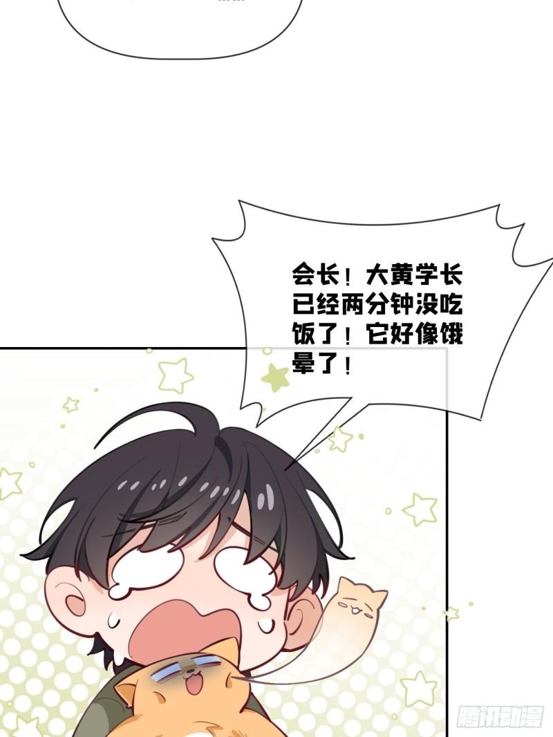 犬大欺主by夏知行漫画,08.针锋相对67图