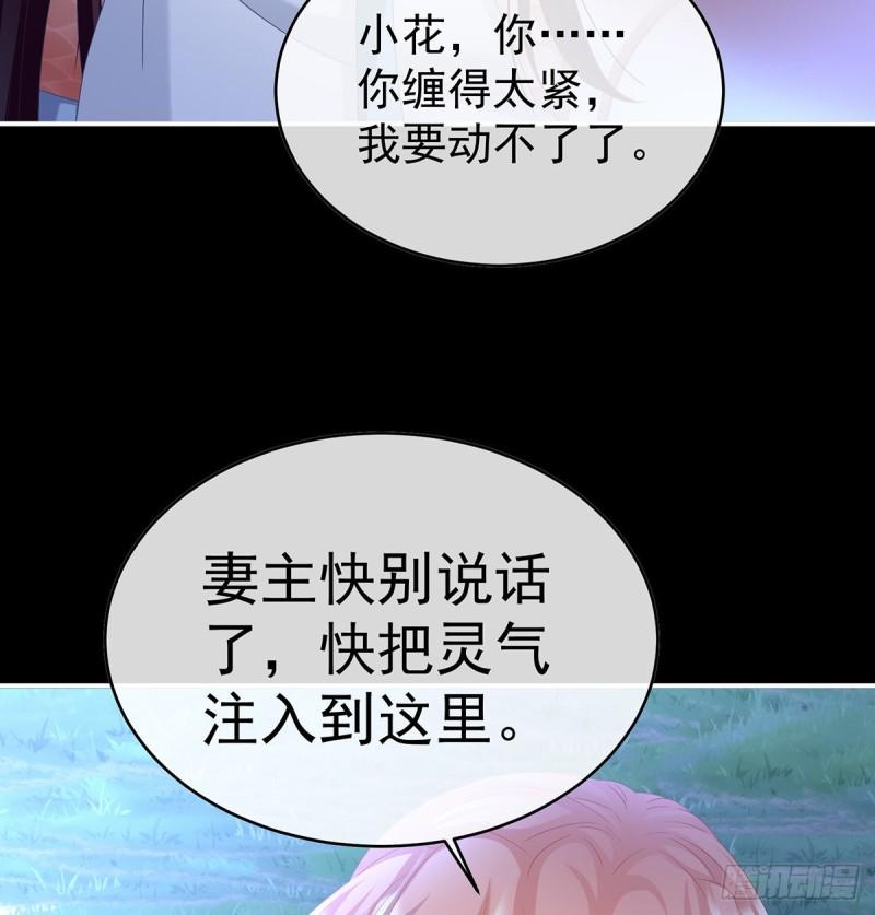 家有娇妻张妍漫画,蛇尾play30图