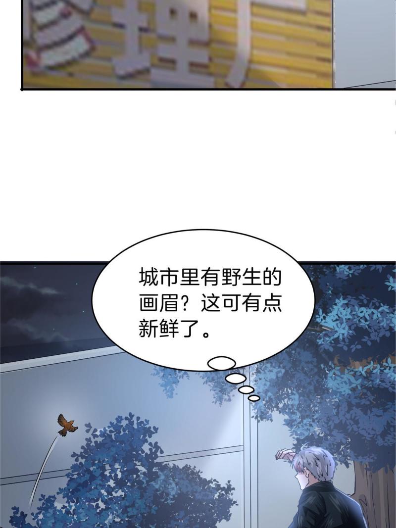 稳住别浪1-100集漫画,62 这样坑人？63图