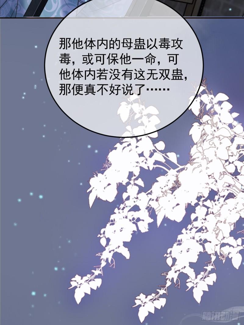 影卫小说盛淮免费阅读漫画,第39话 无双蛊25图