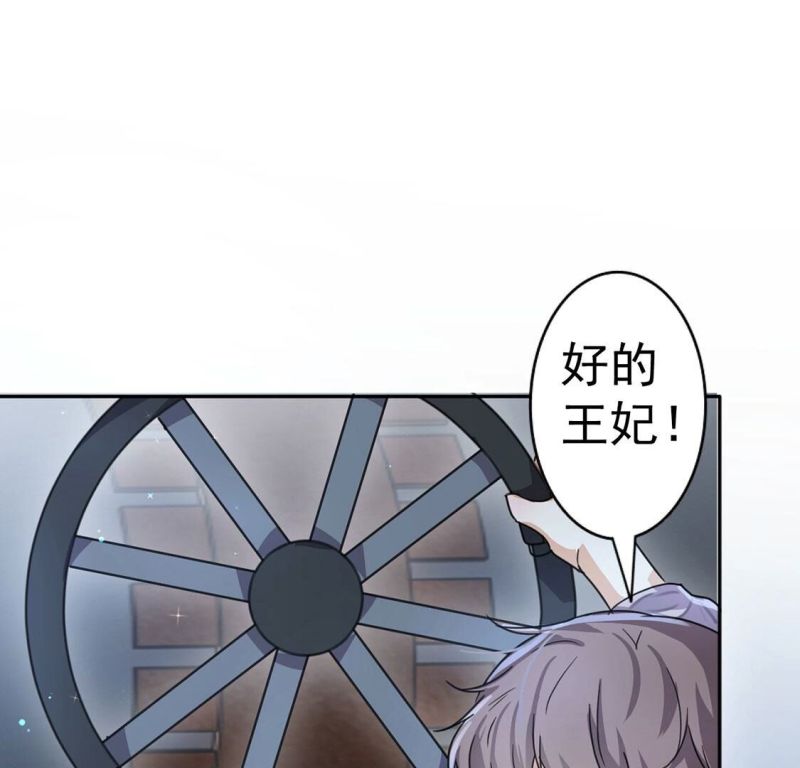 丧偶皇后漫画,第34话 营救王妃20图