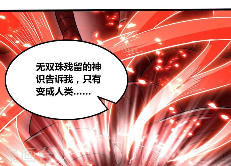 神澜奇域无双珠漫画,最终话 神王级46图