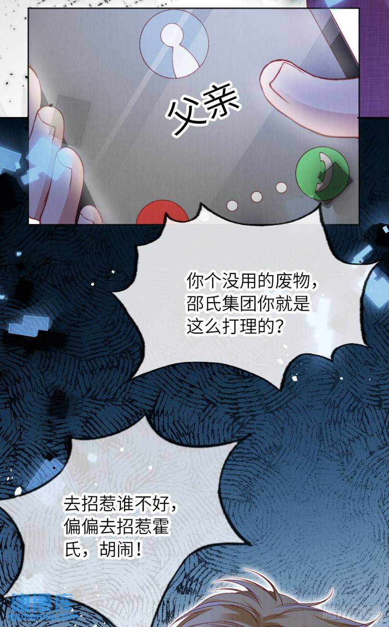 霍少追妻又翻车了漫画全集免费阅读下拉式漫画漫画,第34话 收网吧25图