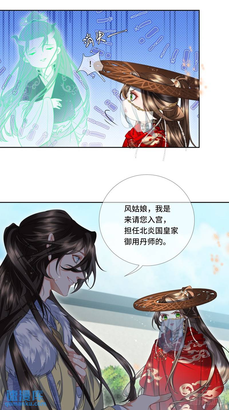 魔凰仙医:邪帝夫人又飒又冷小说无弹窗漫画,022.皇家御用炼丹师14图