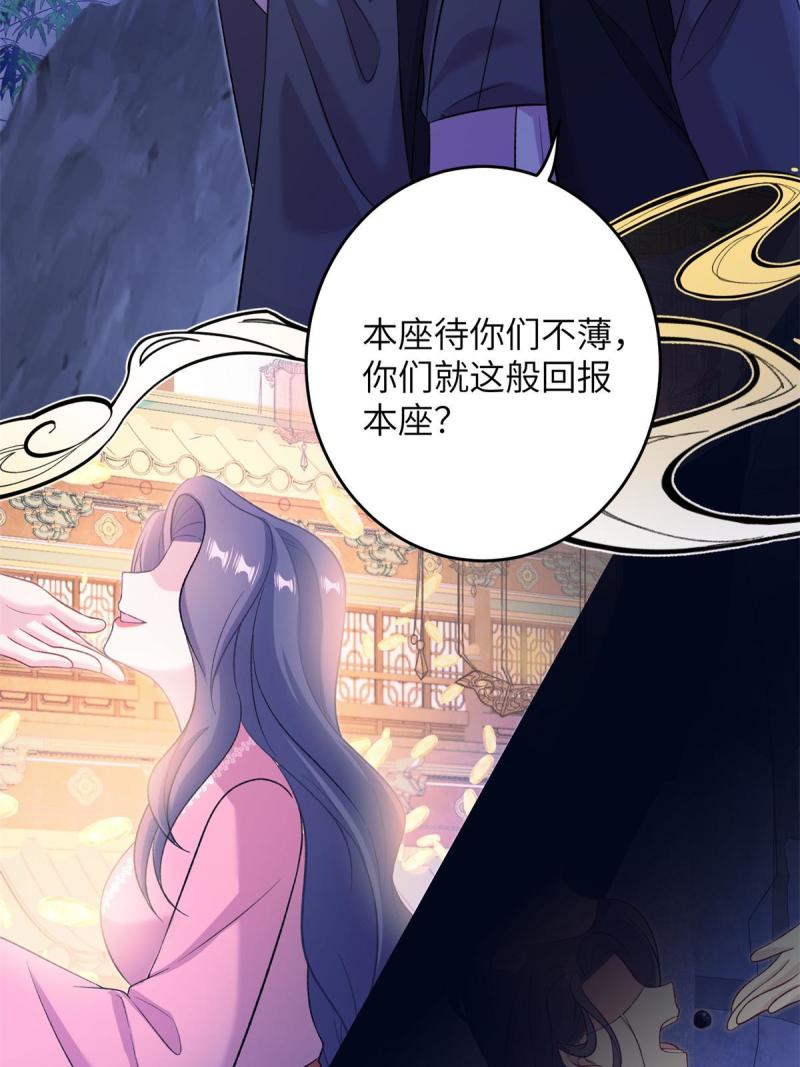 我穿成了修仙界稀有物种漫画免费漫画,66 玄月楼楼主18图