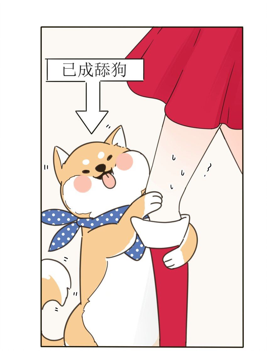 人间百里锦一口气看完漫画,005 预谋12图