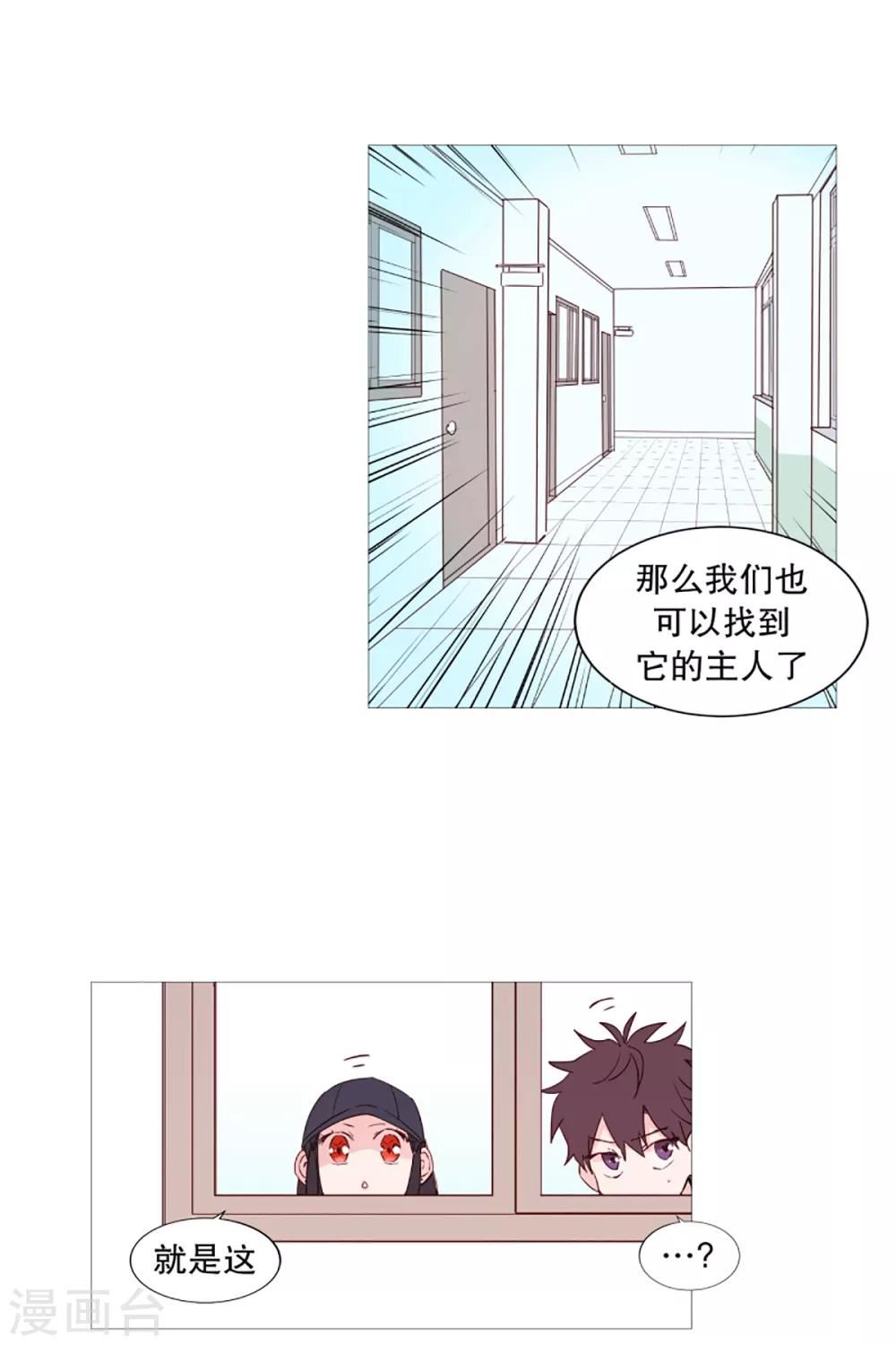 动物灵魂管理局漫画,第39话 我的一部分12图