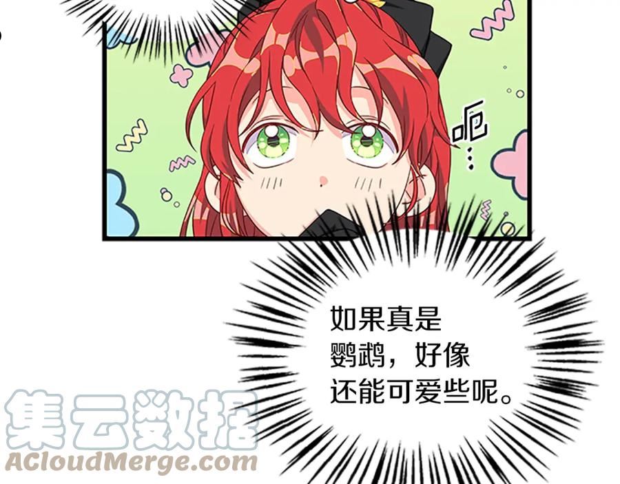 女伯爵邀请函漫画,第104话17图