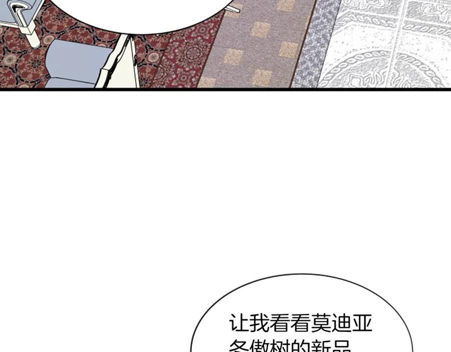 女伯爵的结婚请求漫画第8话漫画,第117话 谈判111图