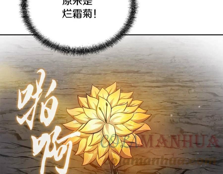 千年方士解说全集漫画,第84话 副主的布局189图