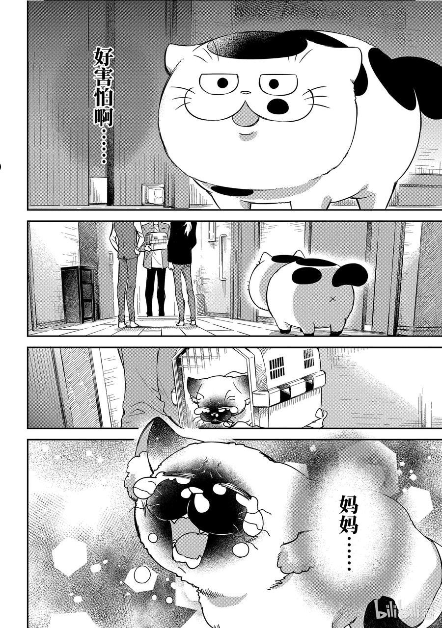 大叔与棉花糖结局漫画,88 88话6图