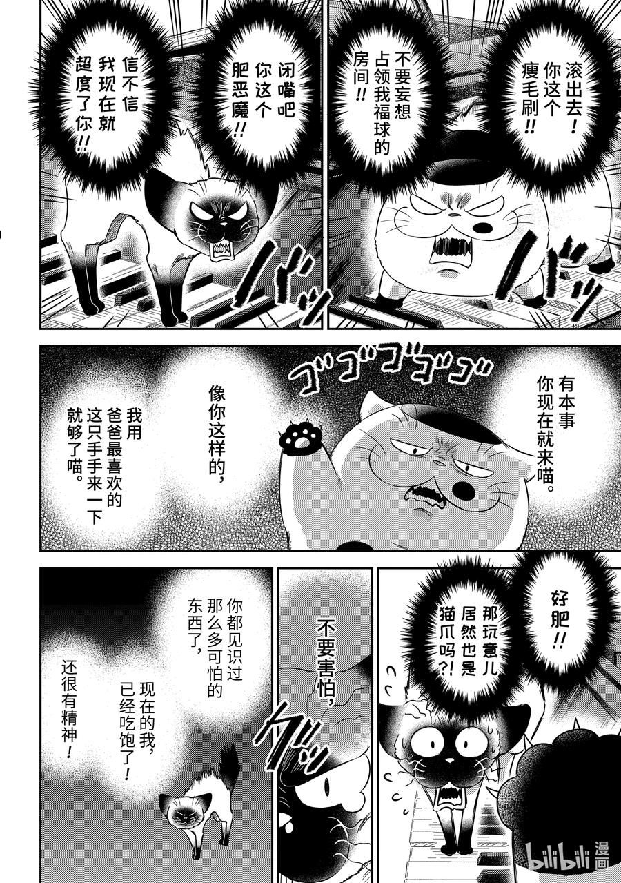 大叔与猫漫画,90 安可哦喵！4图