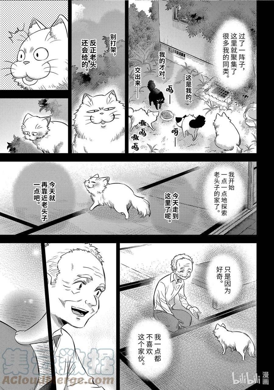 大叔与猫漫画,96 大家的爸爸19图