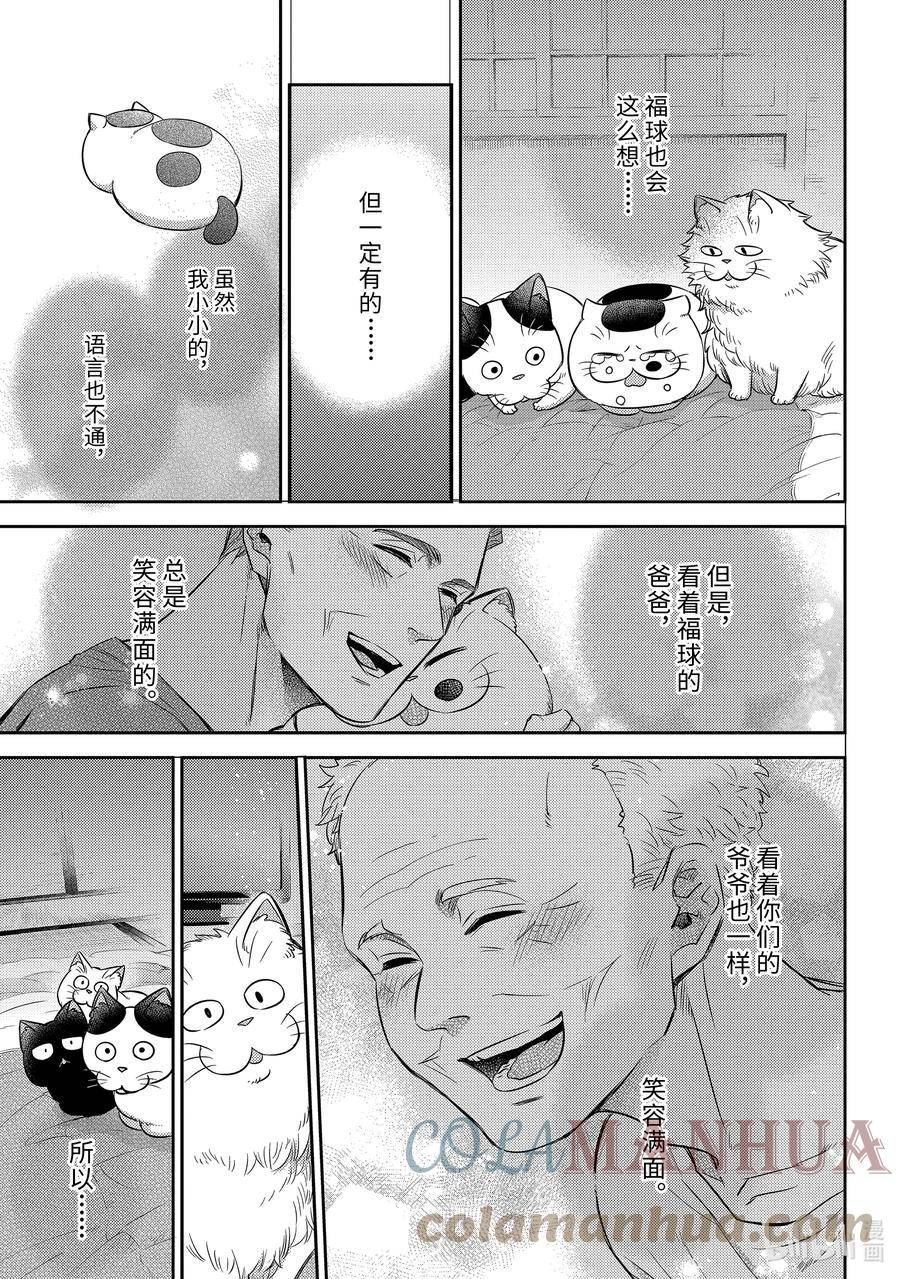 大叔与猫漫画,97 福球的决心喵17图