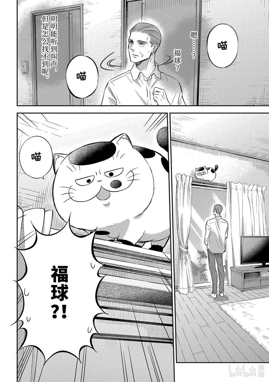 大叔与猫漫画,98 福球超开心4图