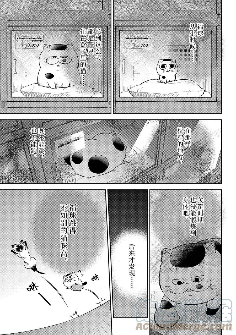 大叔与猫漫画,98 福球超开心7图