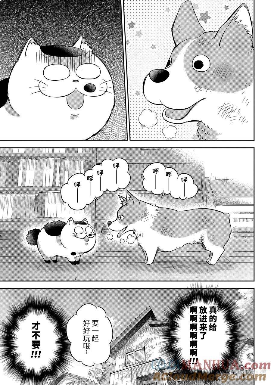 大叔与猫漫画,99 像爸爸11图