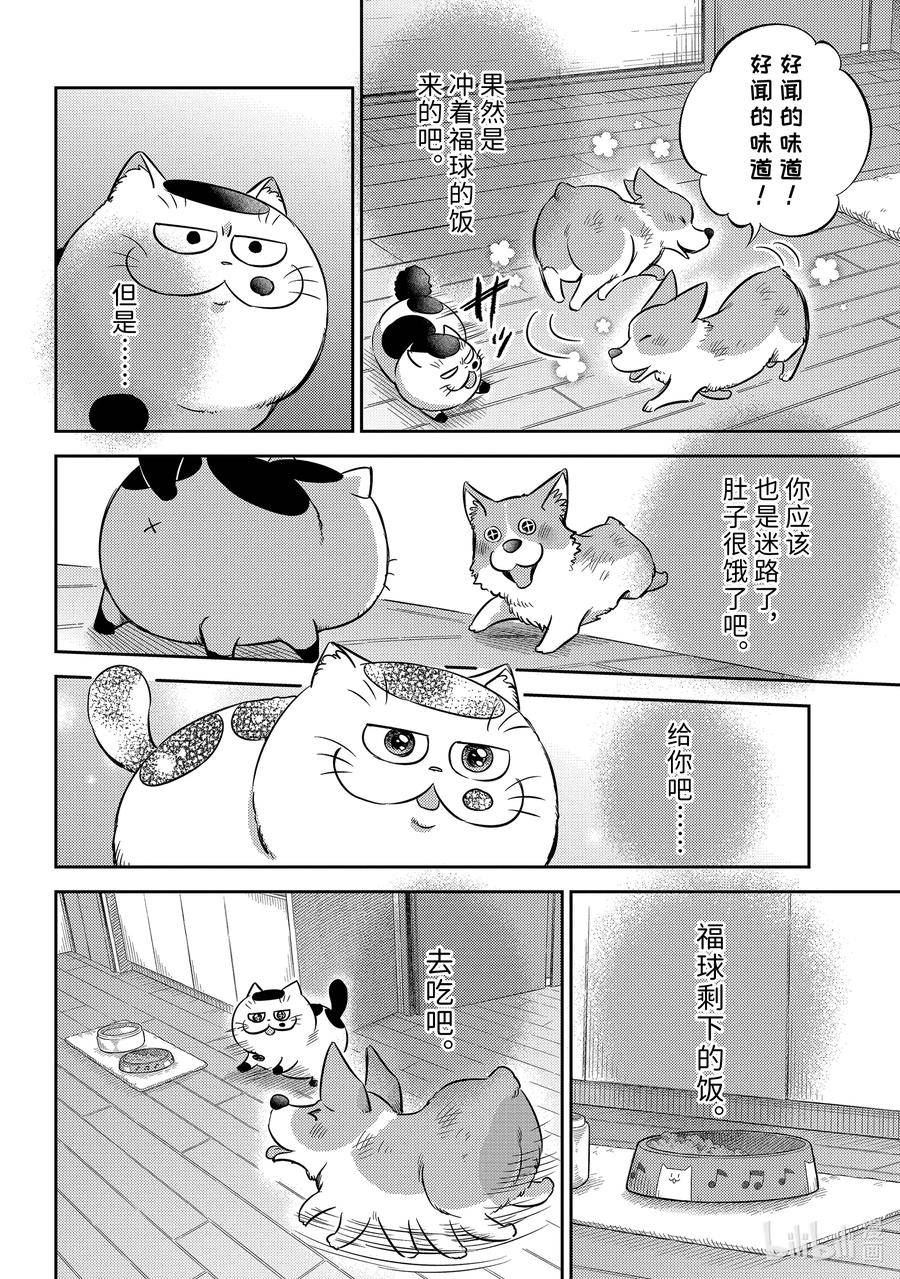 大叔与猫漫画,99 像爸爸12图