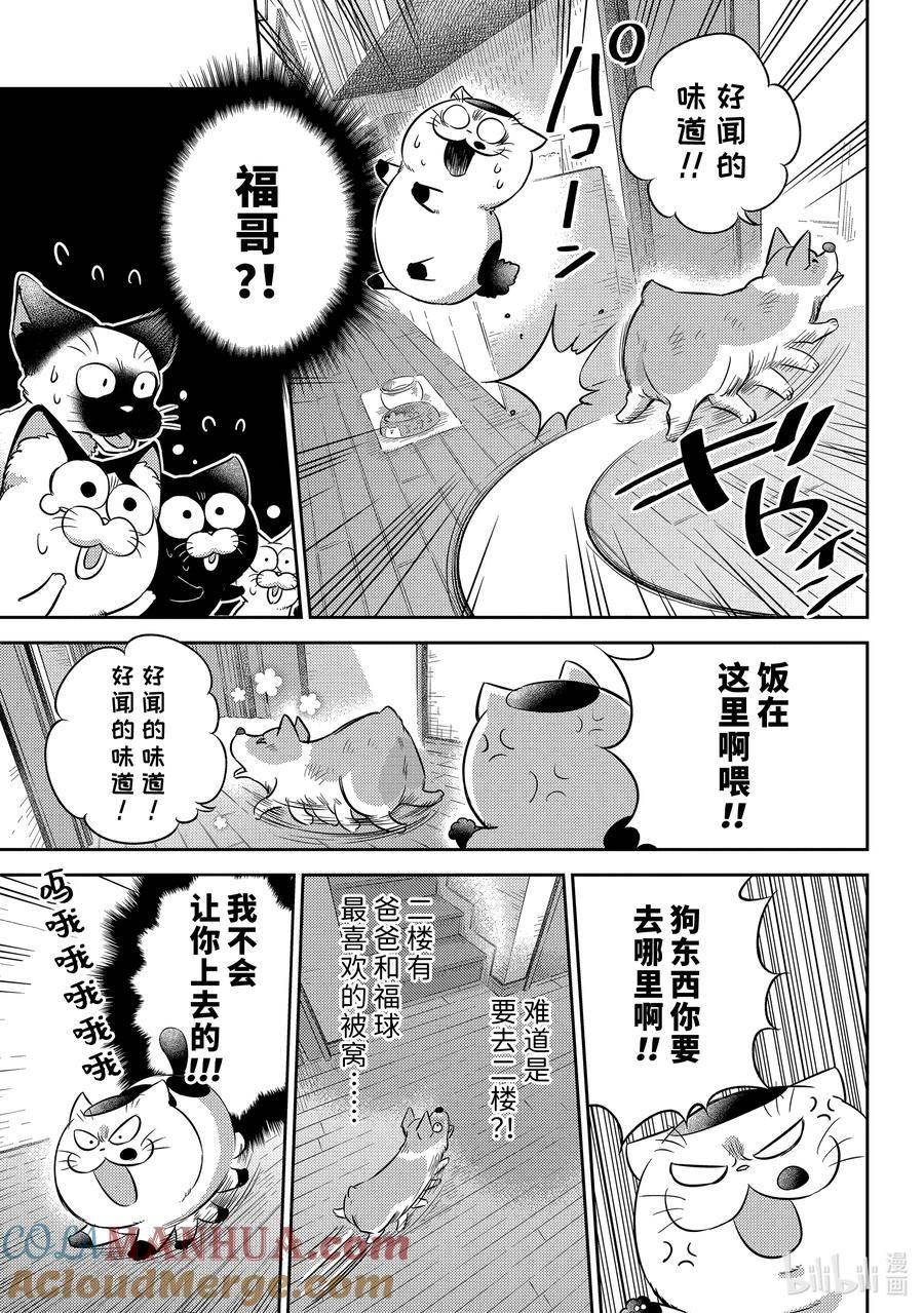 大叔与猫漫画,99 像爸爸13图