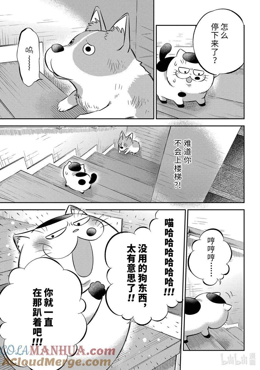 大叔与猫漫画,99 像爸爸15图