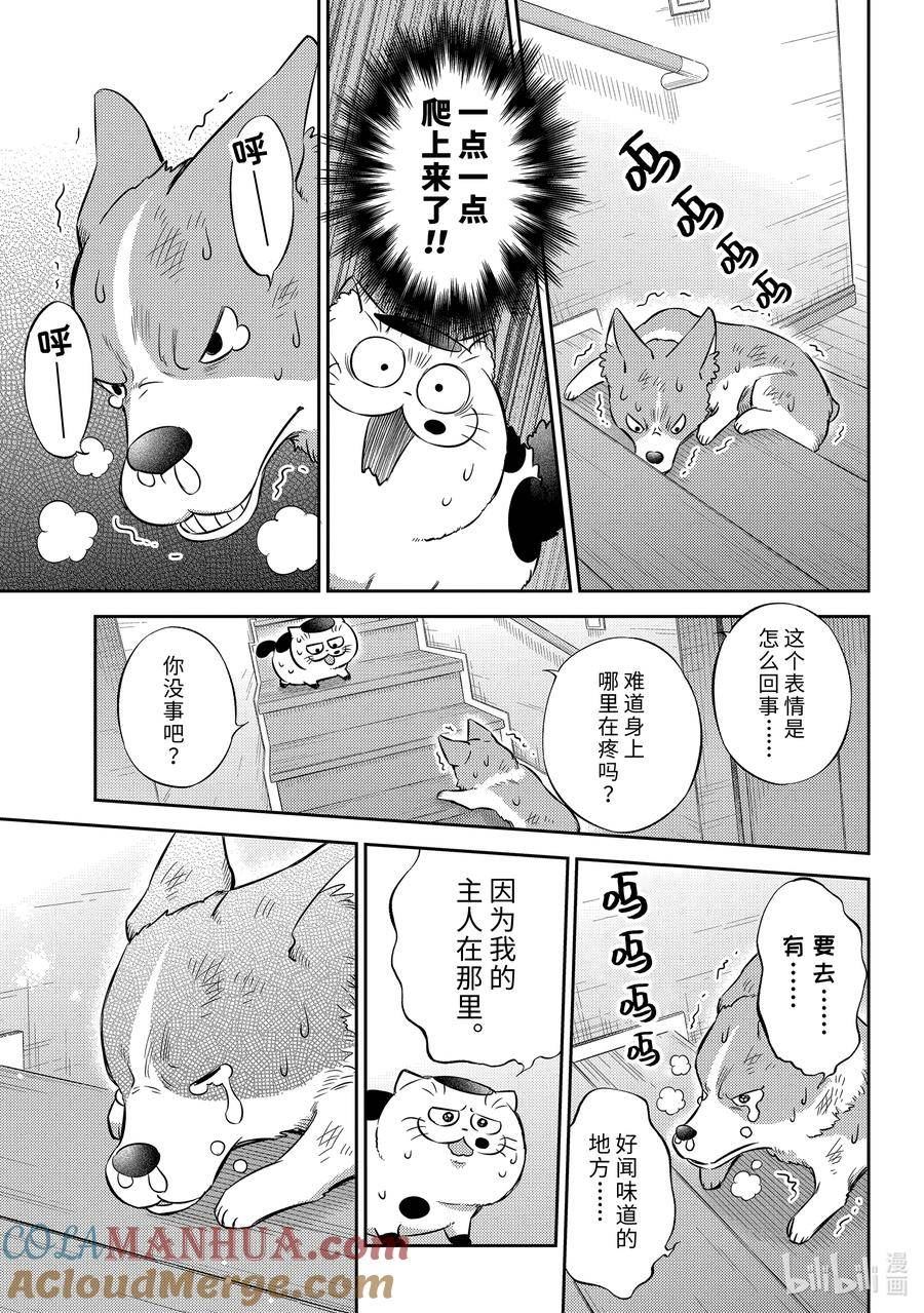 大叔与猫漫画,99 像爸爸17图