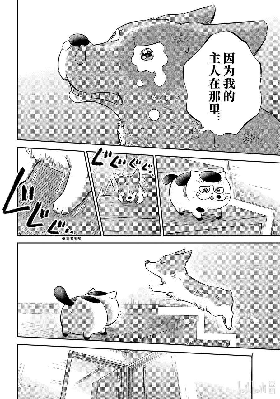 大叔与猫漫画,99 像爸爸18图