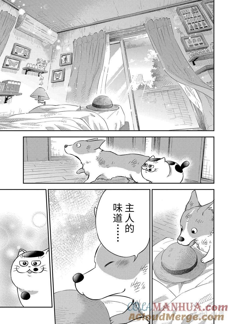 大叔与猫漫画,99 像爸爸19图