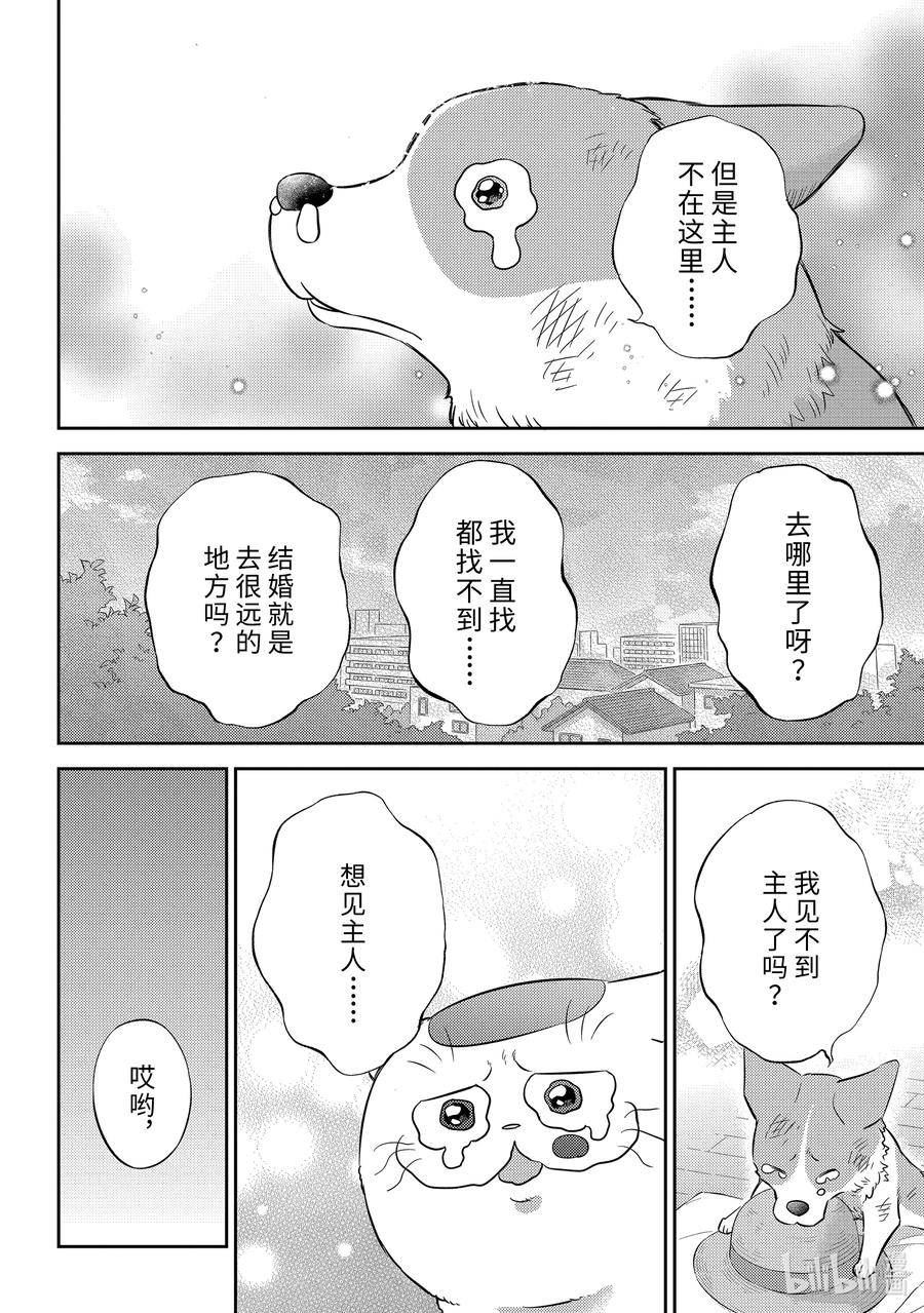 大叔与猫漫画,99 像爸爸20图