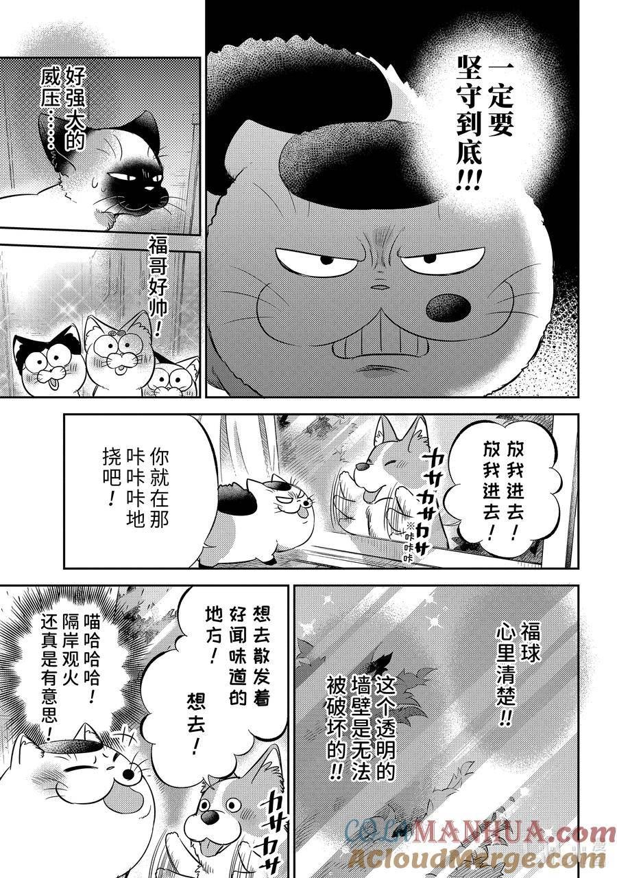 大叔与猫漫画,99 像爸爸9图