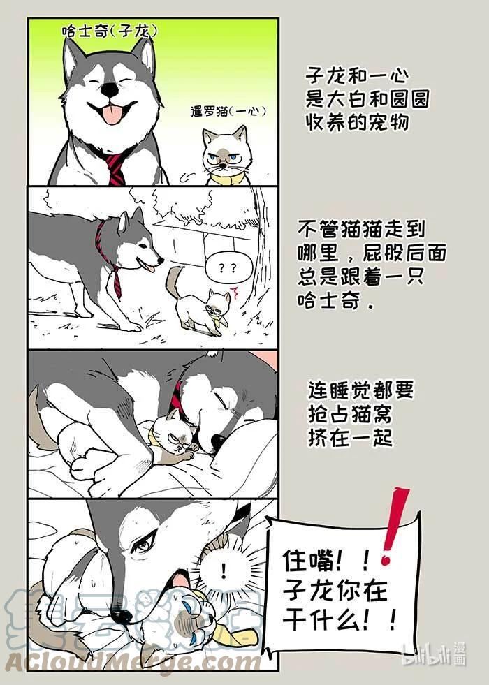 夜行人漫画,不白请假 有四格2图