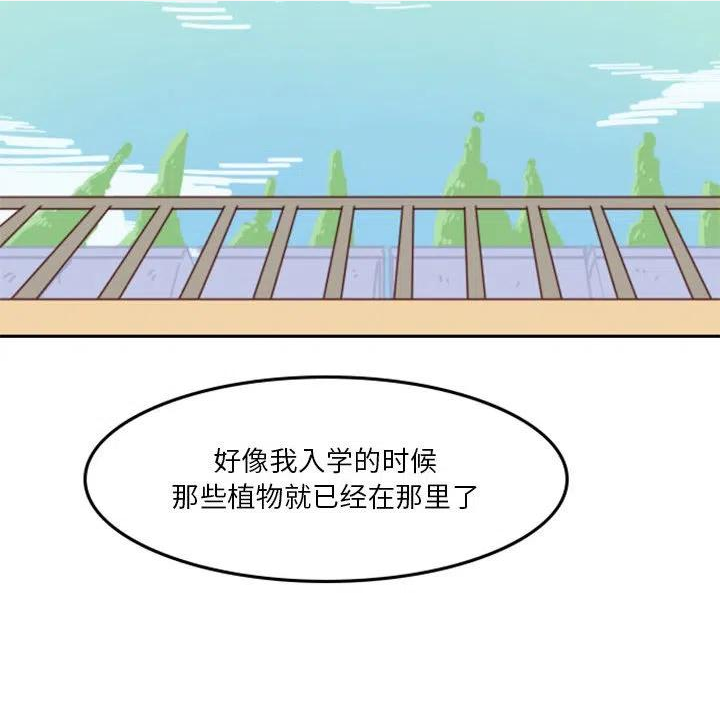 他们的校园生活漫画,650图