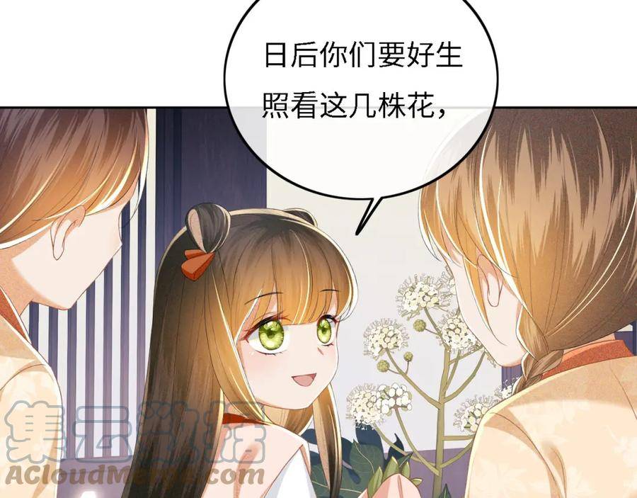 满级绿茶穿成小可怜漫画,第55话 巨型猪草46图