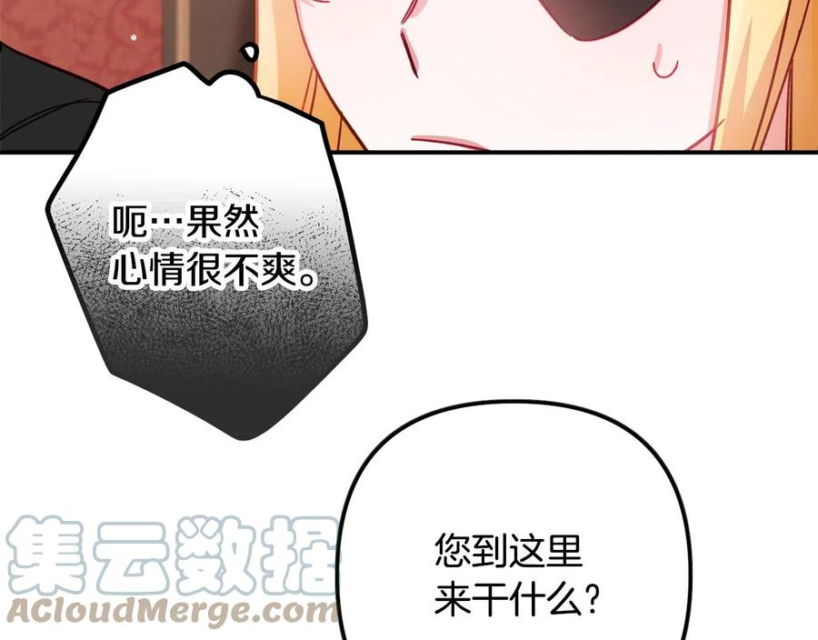 怎样阻止皇帝的黑化漫画,第20话 神秘日记125图