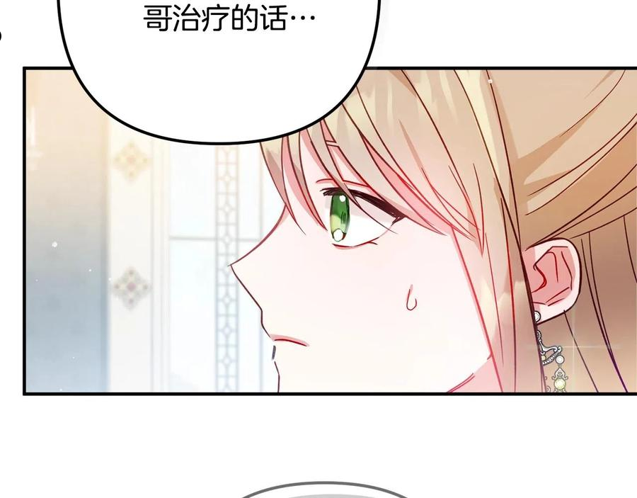 怎样阻止皇帝的黑化漫画,第20话 神秘日记16图