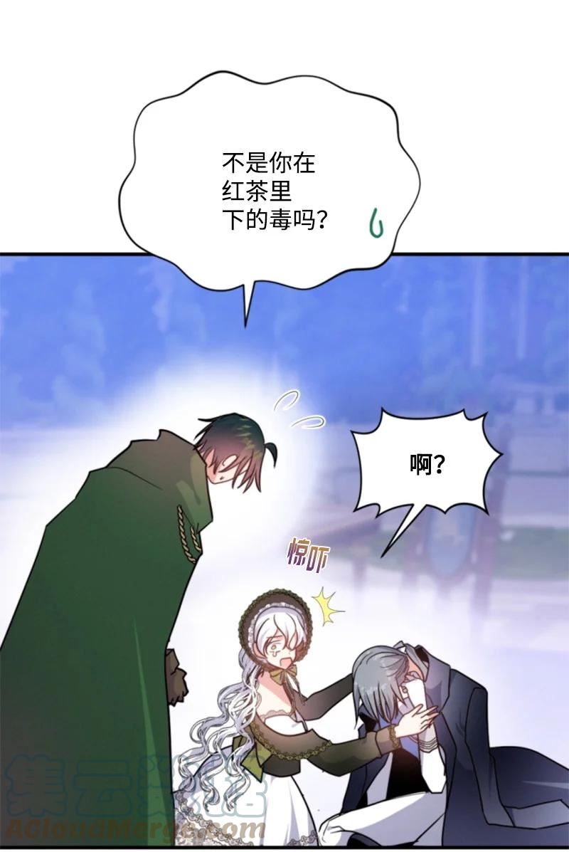 无法实现的魔女的愿望漫画,118 毒杀泰谢尔10图