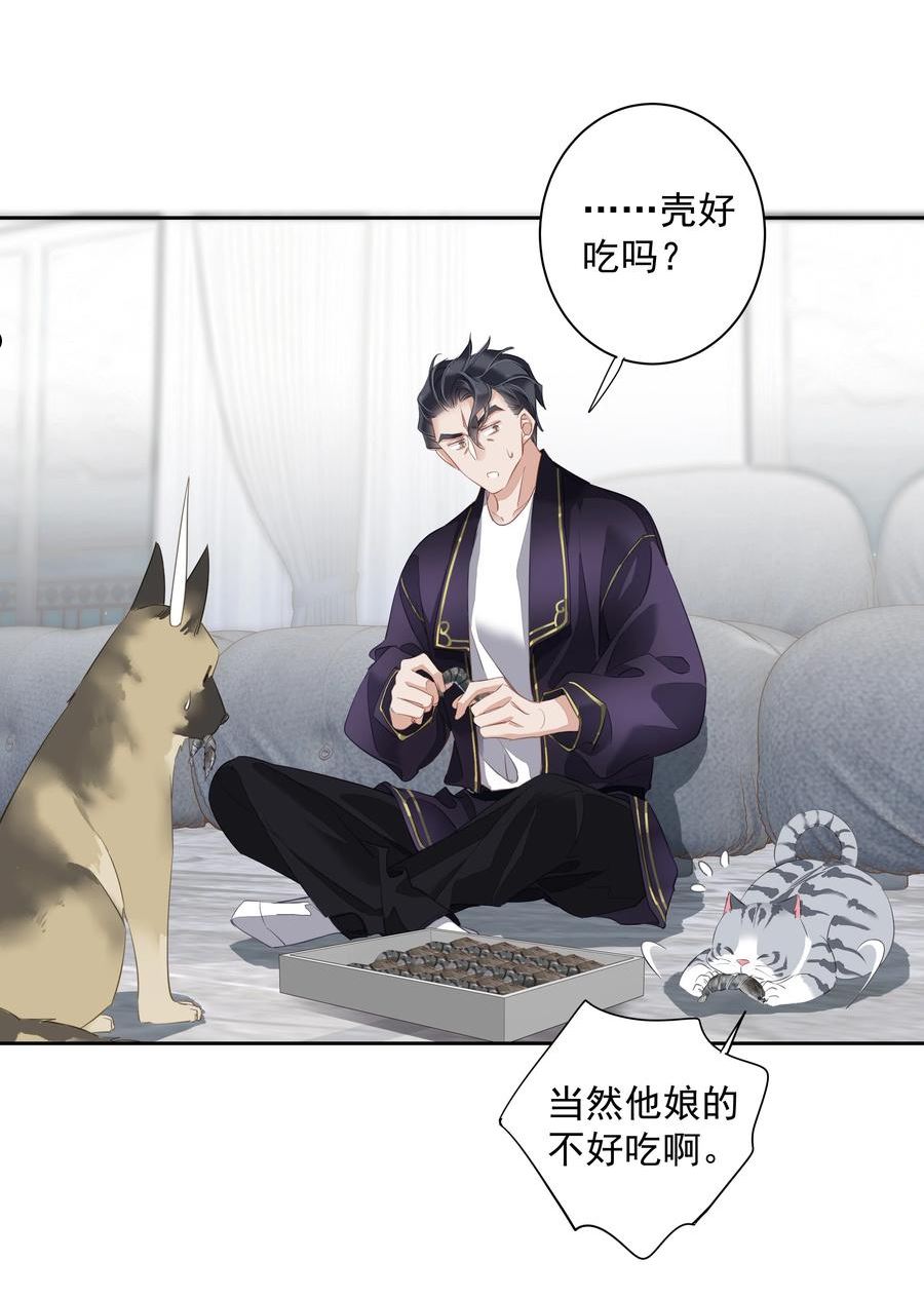 早期驯服大猫的珍贵资料漫画,054 狂萌！是我阿彪儿（番外）26图