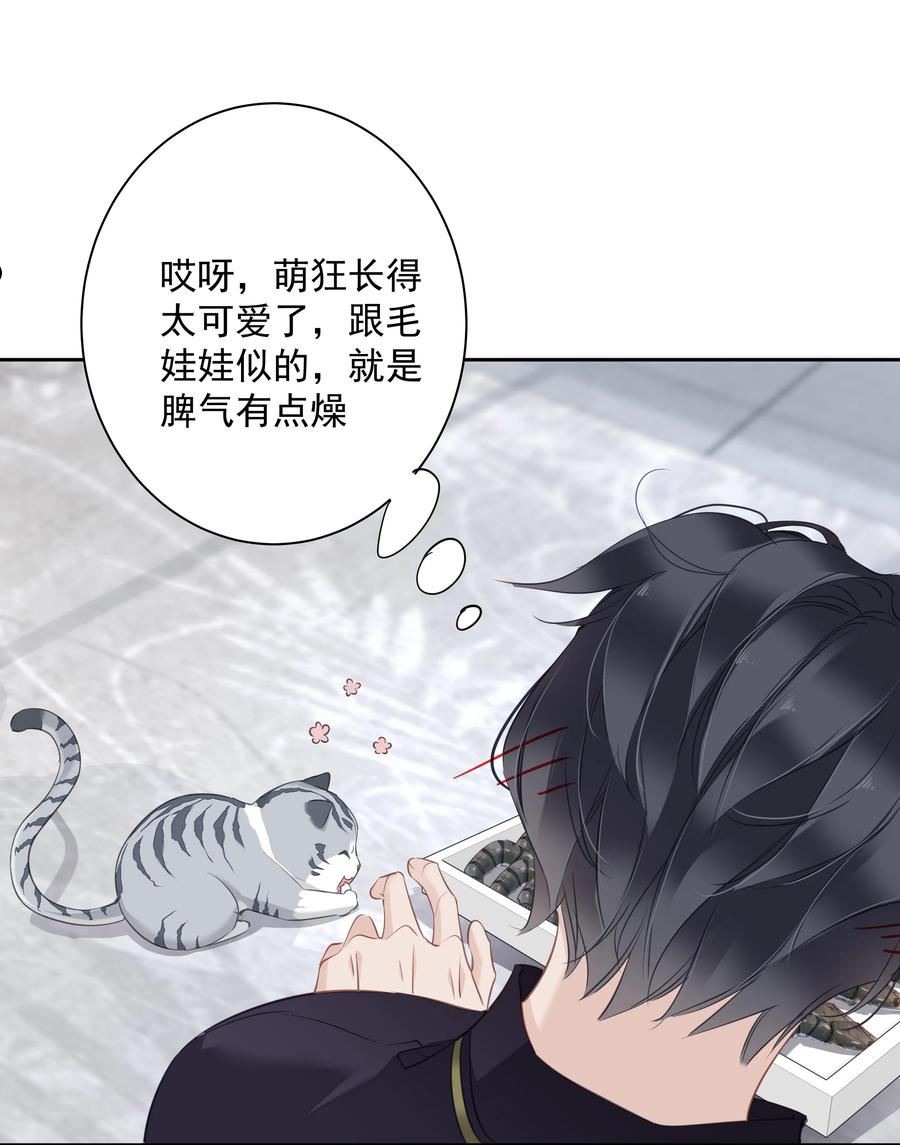 早期驯服大猫的珍贵资料漫画,054 狂萌！是我阿彪儿（番外）32图