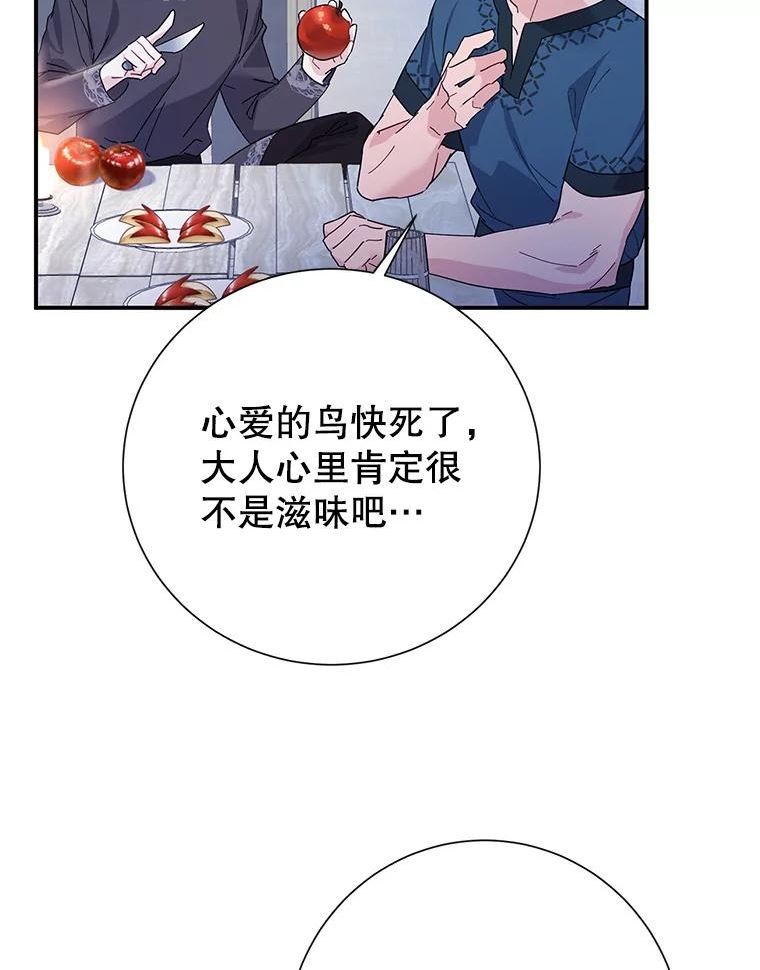 传令鸟公主殿下漫画,43.总司令官疯了？！56图