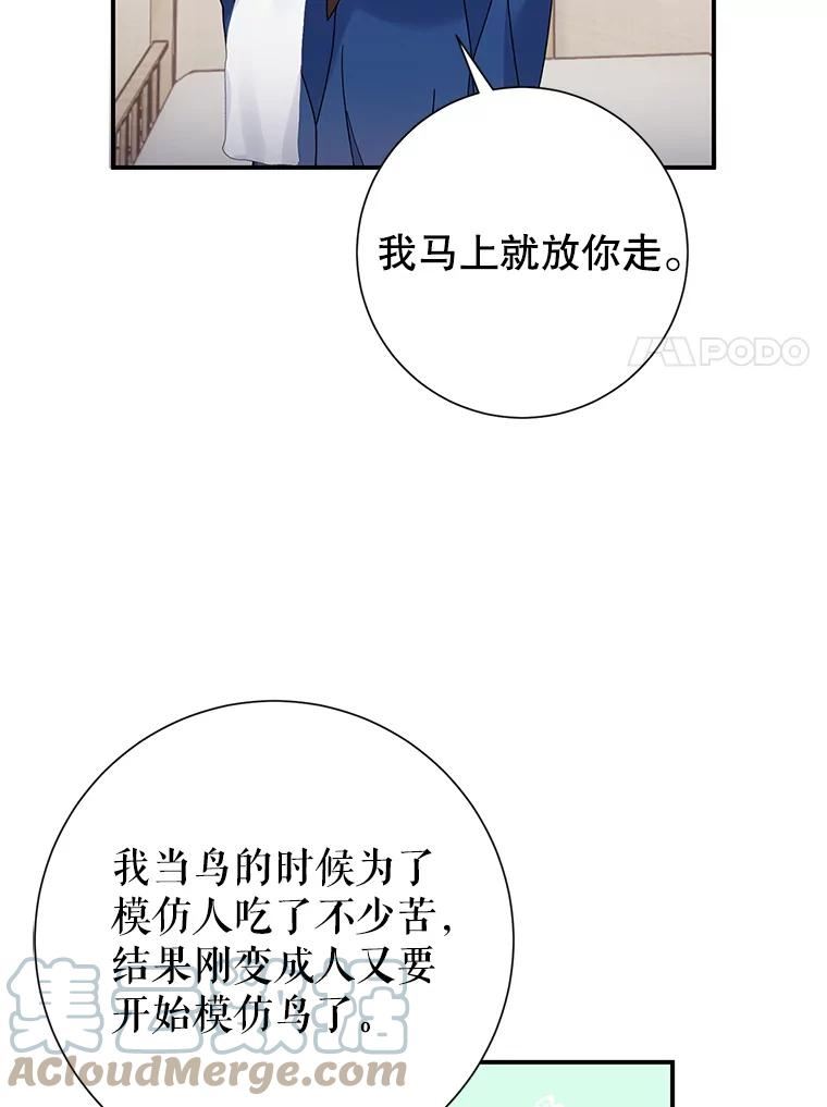 传令鸟公主殿下漫画,45.偷看密信41图