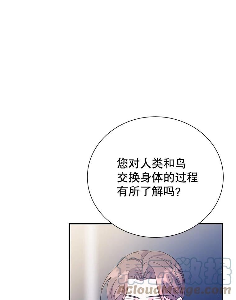 传令鸟公主殿下漫画,60.战友21图