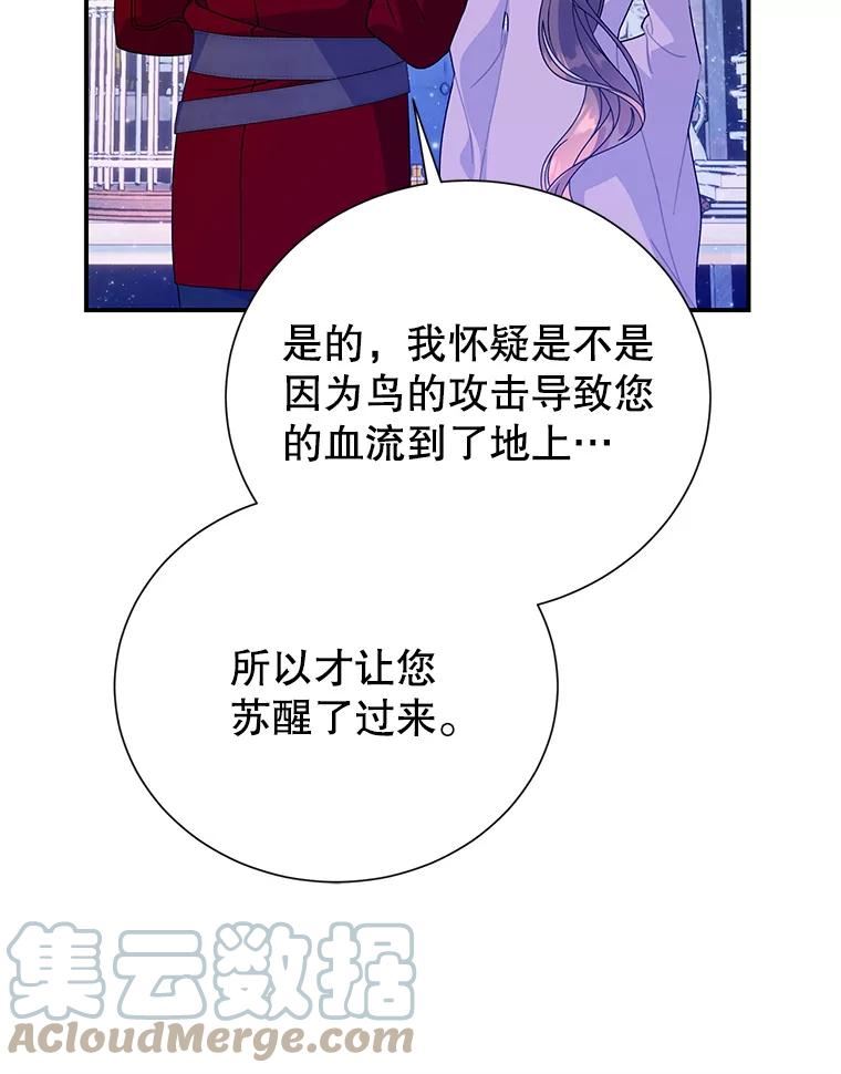 传令鸟公主殿下漫画,60.战友29图